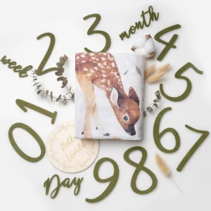 Newborn Photography Prop, Organic Cotton Baby Blanket with Wooden Sign,