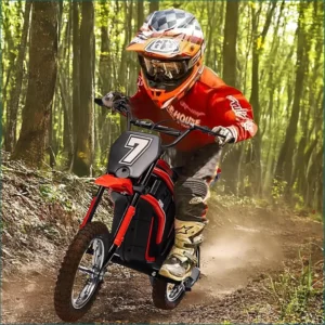 Electric Dirt Bike -24-Volt 350-Watt - 14.29 MPH, 2-Speed Modes, Max Load 135 Lbs